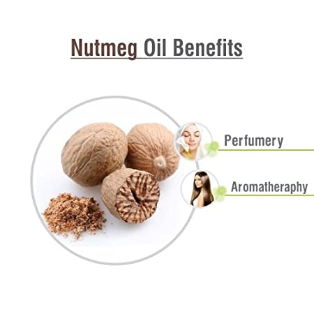 Salvia Natural Essential Oils Nutmeg Essential Oil Salvia Natural Essential Oils Nutmeg Essential Oil